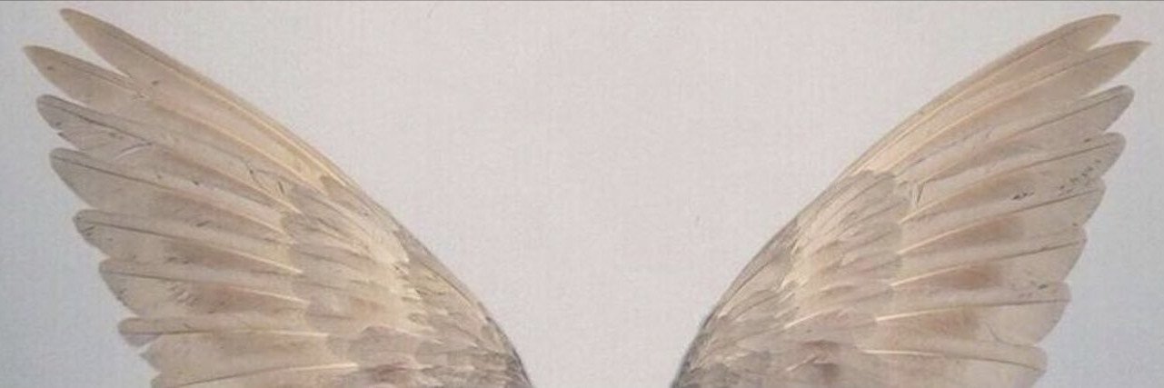 basellllllv's profile banner image