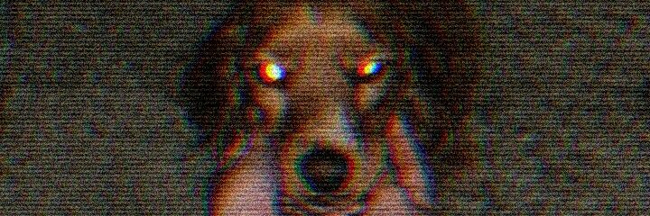 LourdesMarini's profile banner image
