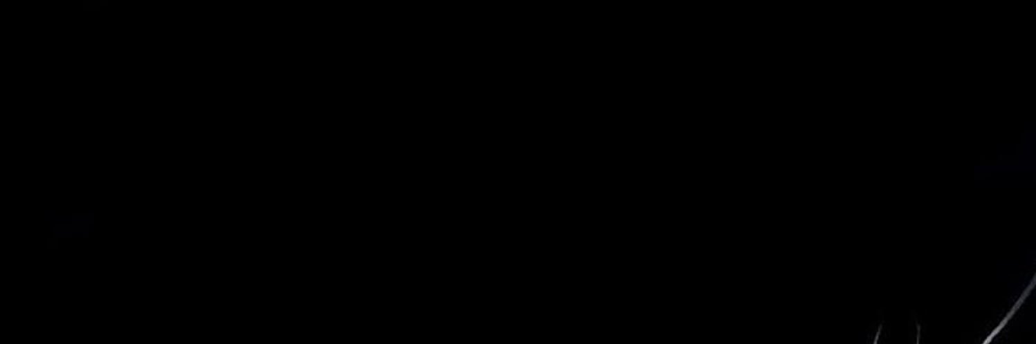 _stylliz_'s profile banner image