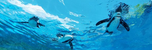 tks_7575 Profile Banner