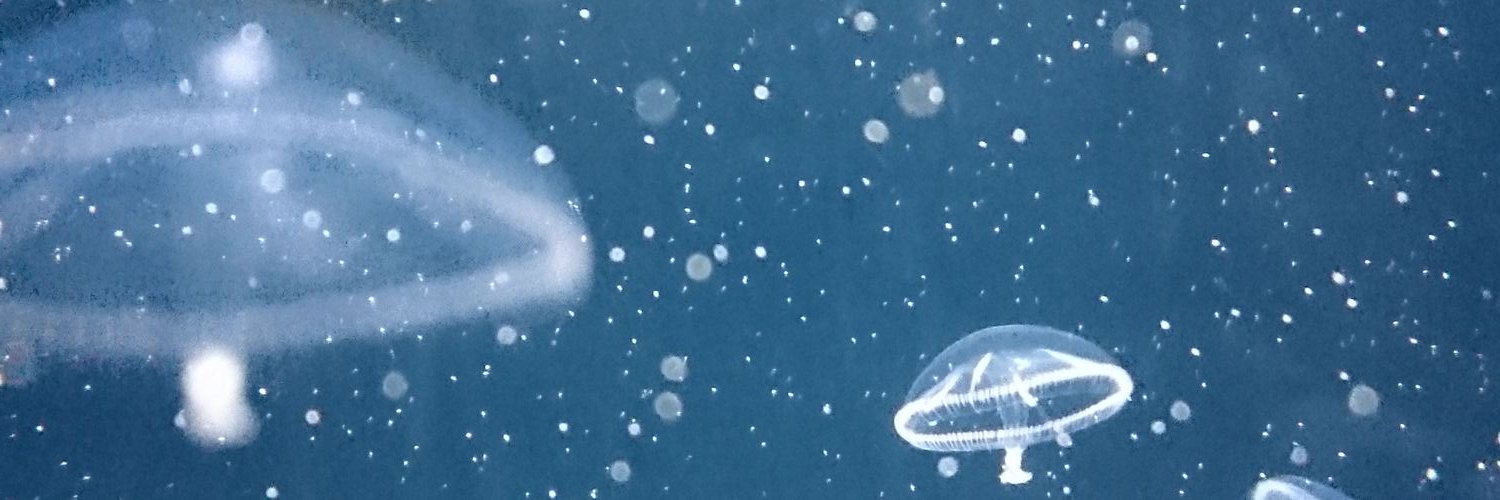 3594_k's profile banner image