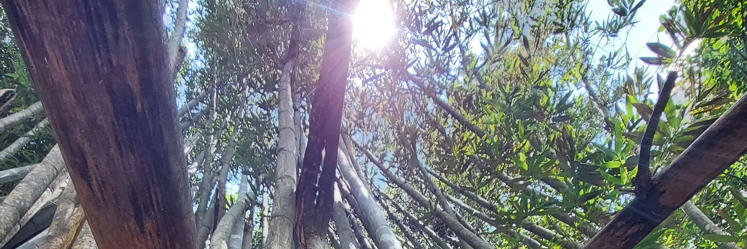 moises_peam17's profile banner image