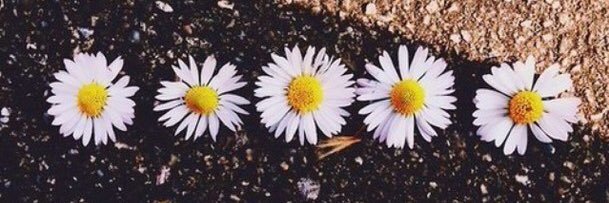 jennaa_millss's profile banner image