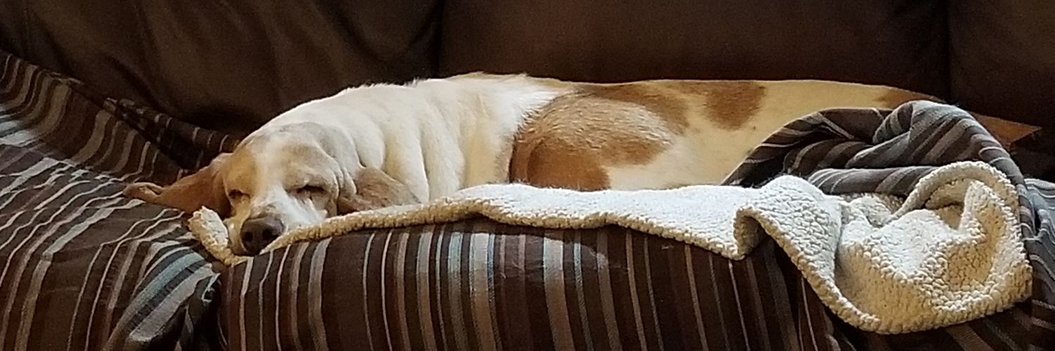 Karen Melton ⚡️🎶🤘 banner