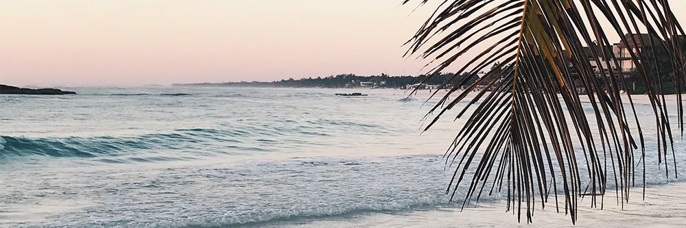 AddyHart1's profile banner image