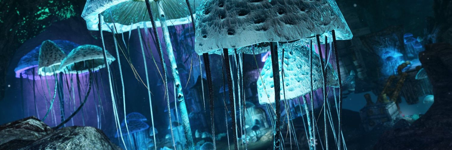 🏳️‍⚧️ Alice Hachemer banner