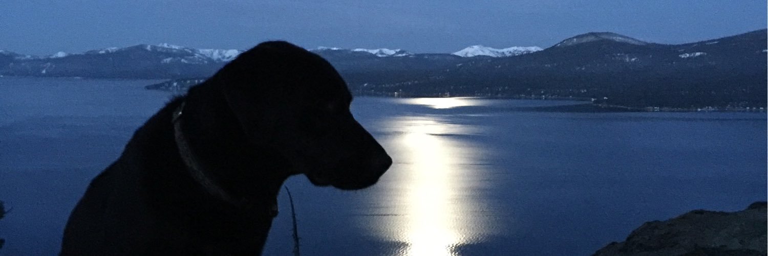 GoMaryMo's profile banner image