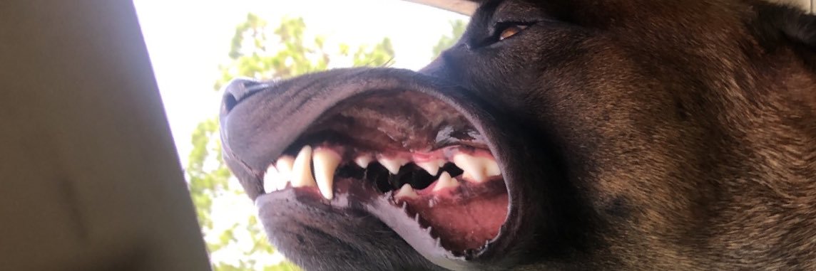 Jspicey99's profile banner image