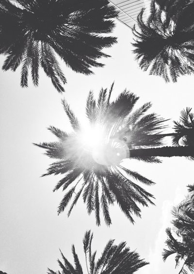 free_fallin12's profile banner image