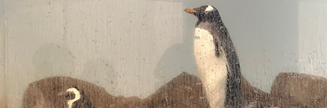 HOKAMA1206's profile banner image