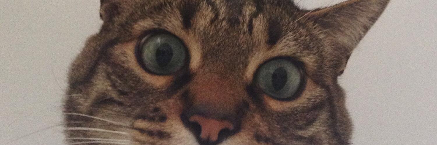 comptine64's profile banner image