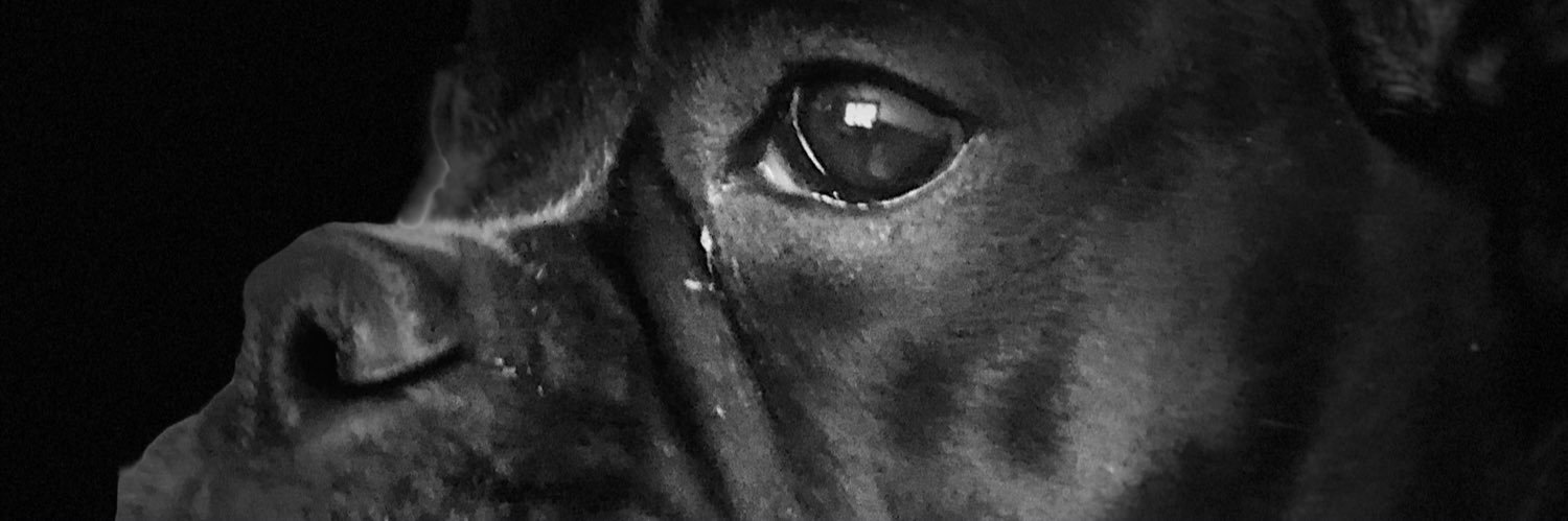 PopFlie's profile banner image
