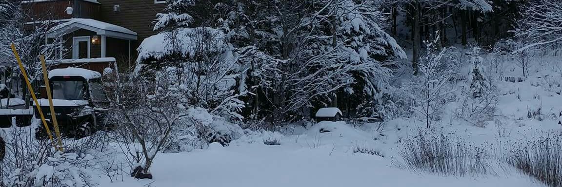 StephenWLee's profile banner image