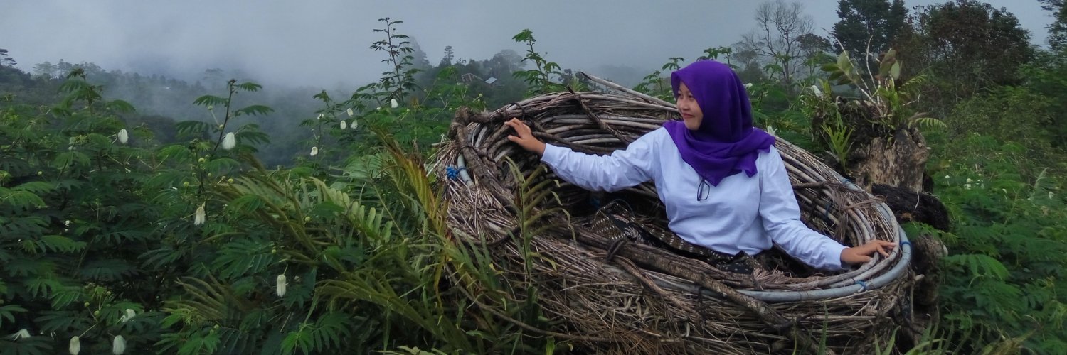 febidwiana's profile banner image