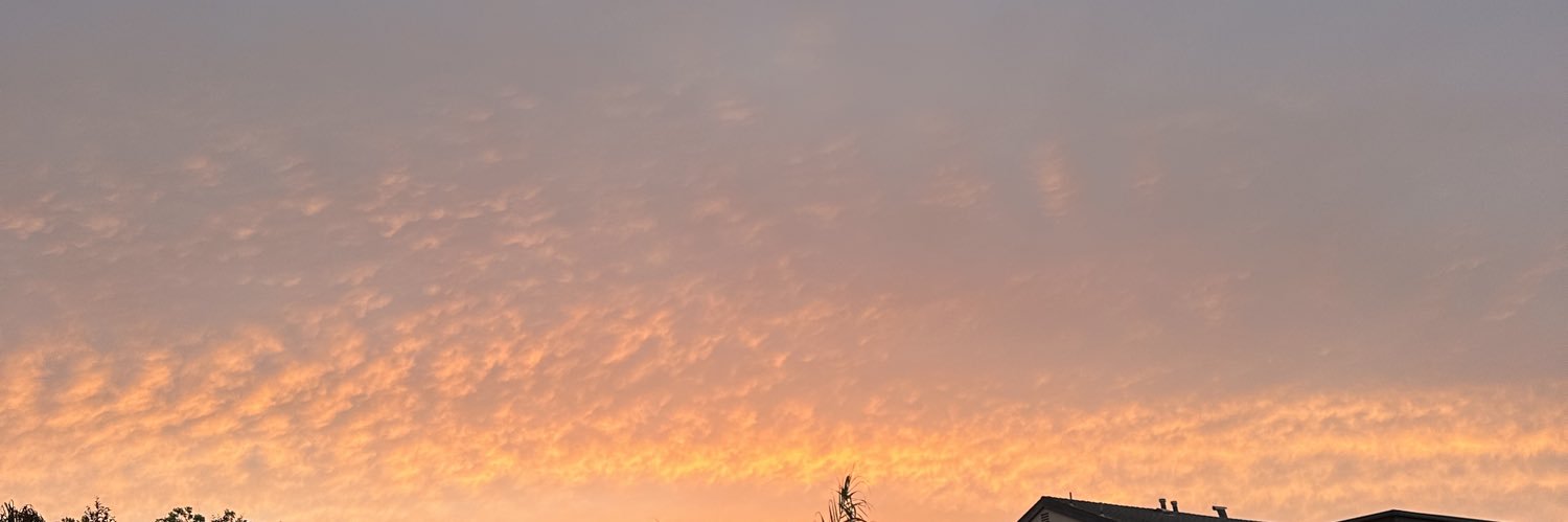 alt1ticaca's profile banner image