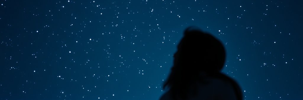meraki_bee's profile banner image