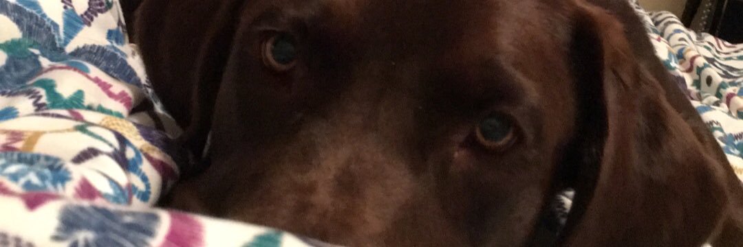WhitneyBirk's profile banner image