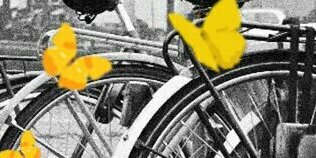 AlianzaVerdeMAG's profile banner image