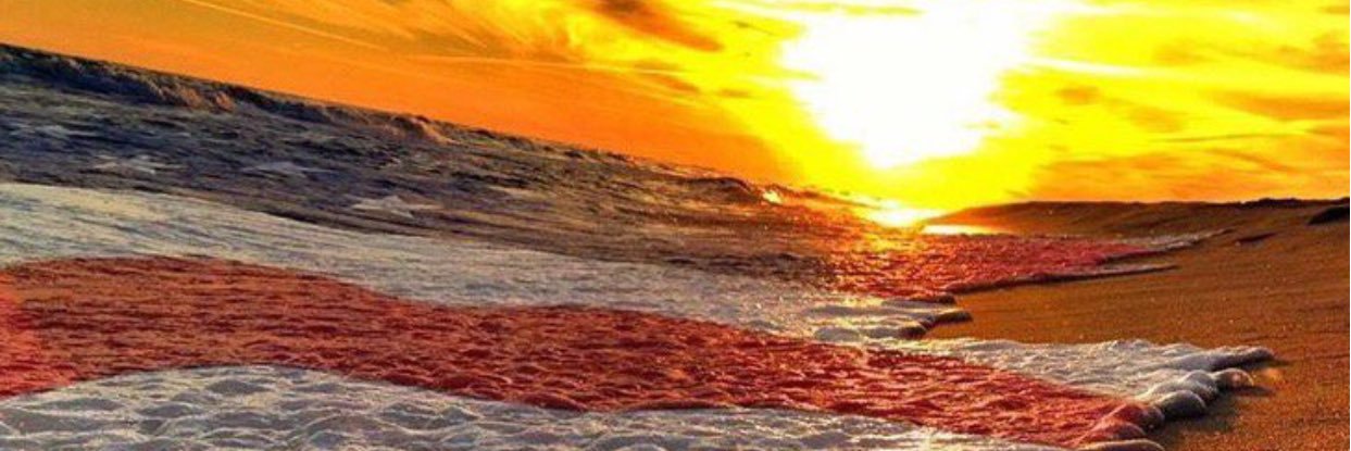 TheLuckyTrader banner