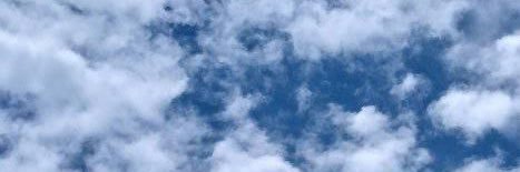 mnaupalf's profile banner image