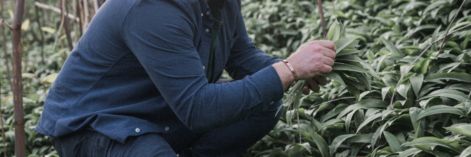 BenPoco's profile banner image