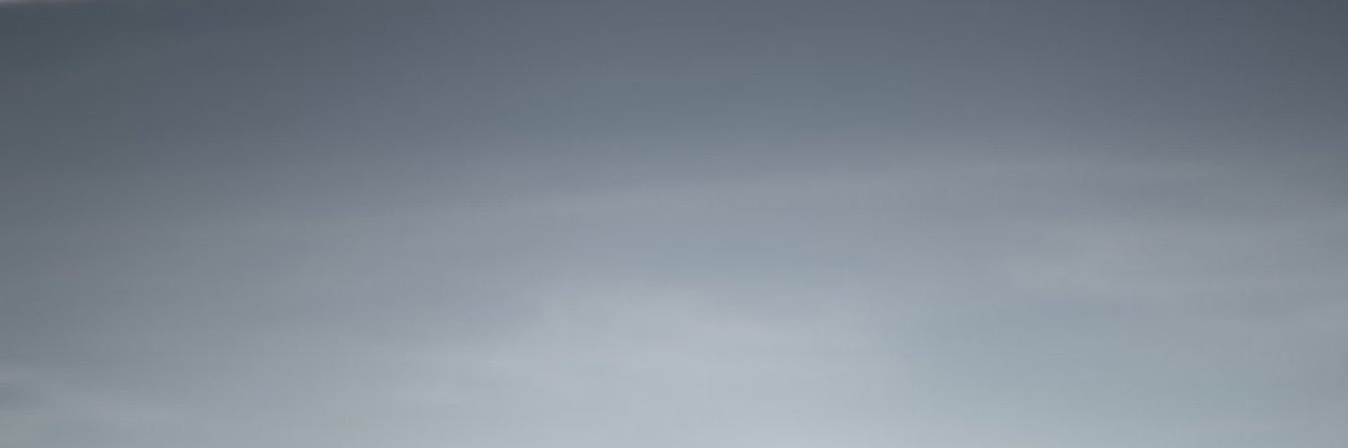 ?? banner