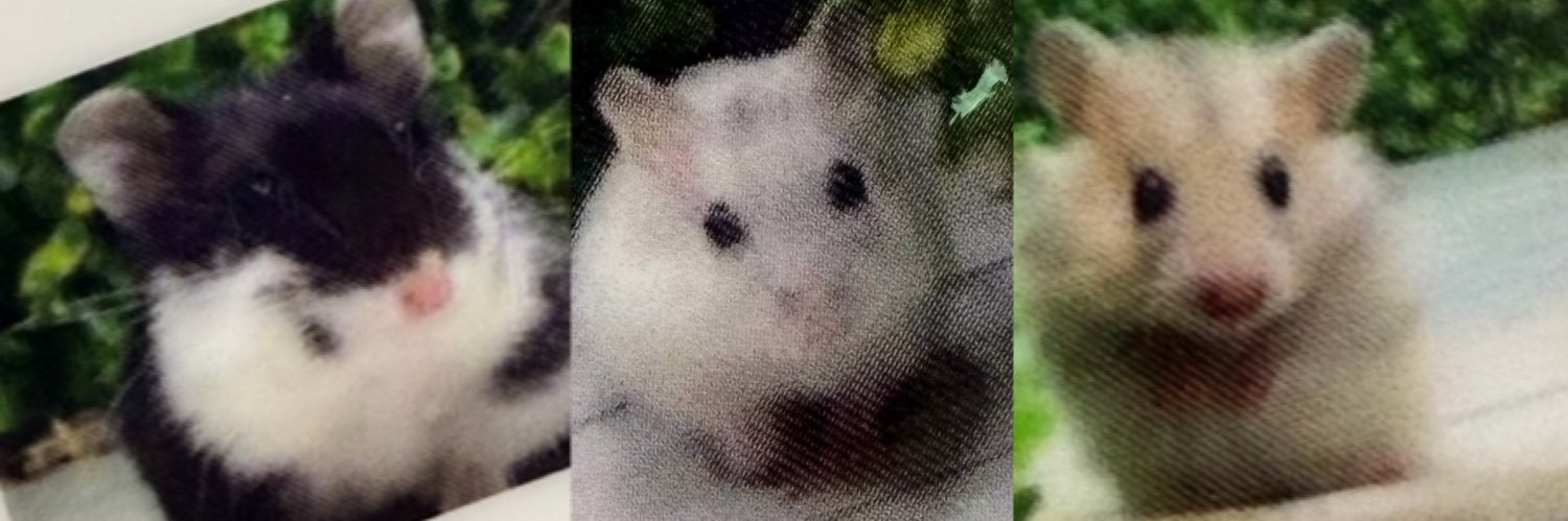 龍太郎(^□^) banner