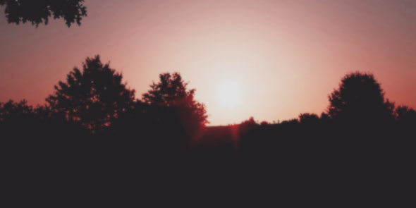willfagdr's profile banner image