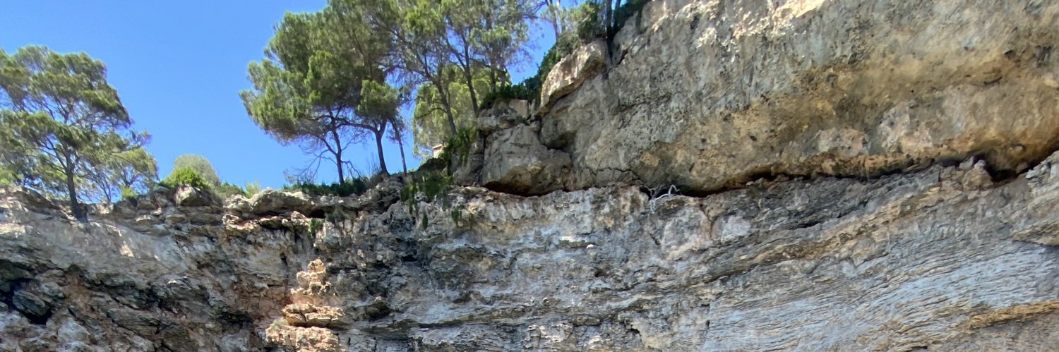 _avrigo's profile banner image
