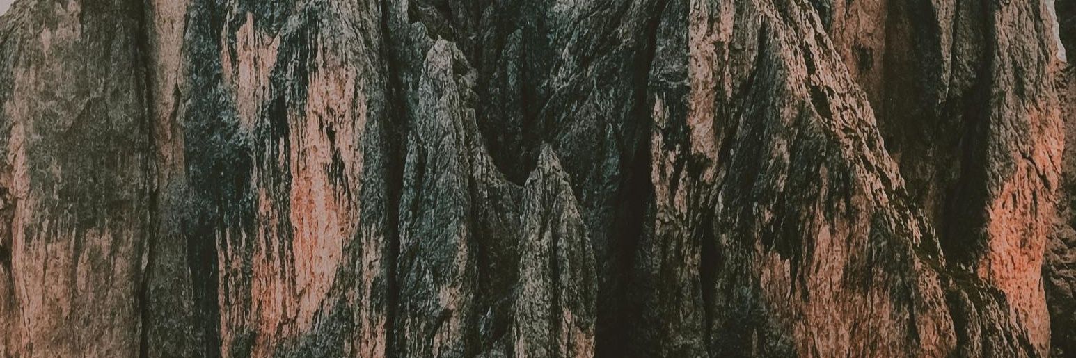 wewo banner