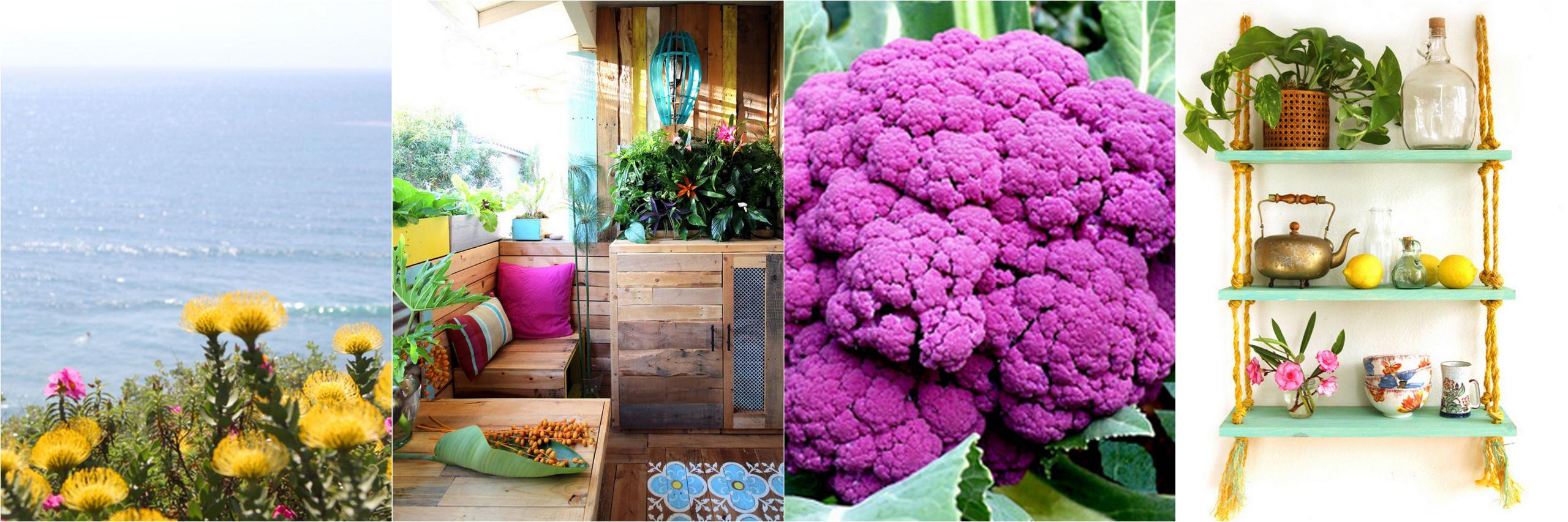 rainbow 🌈🌻💚 banner