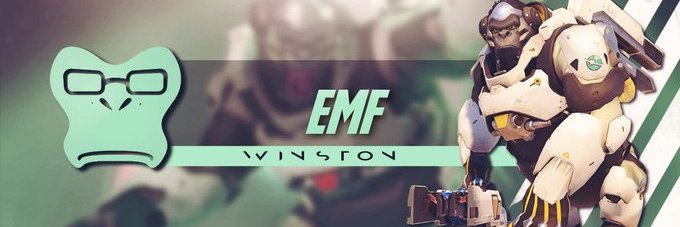 emf banner
