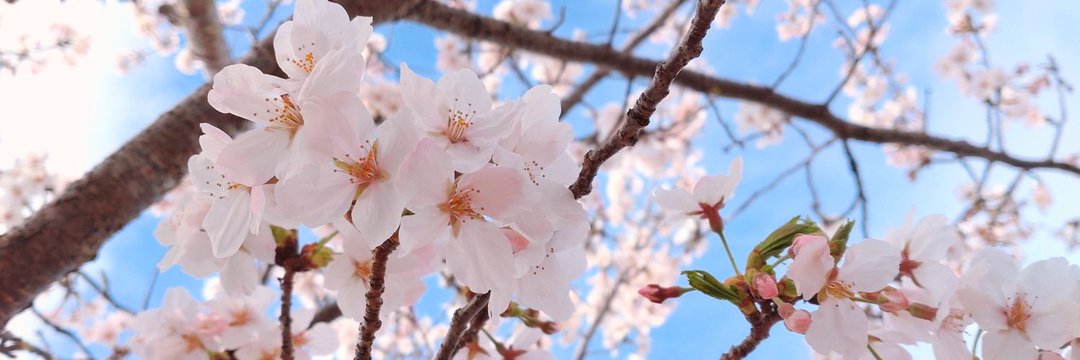 🌾🌱 banner