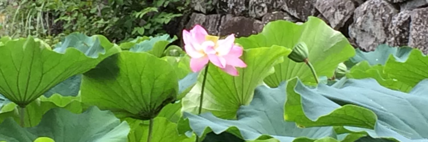 yu_ko0963's profile banner image