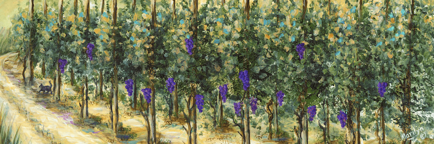 Vite_Bella's profile banner image