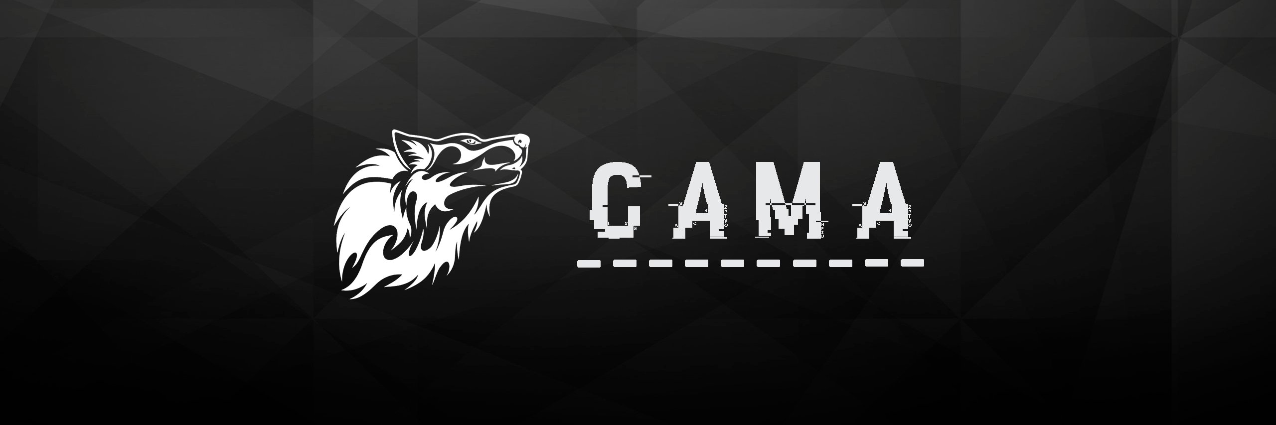 CAMA_Ofi's profile banner image