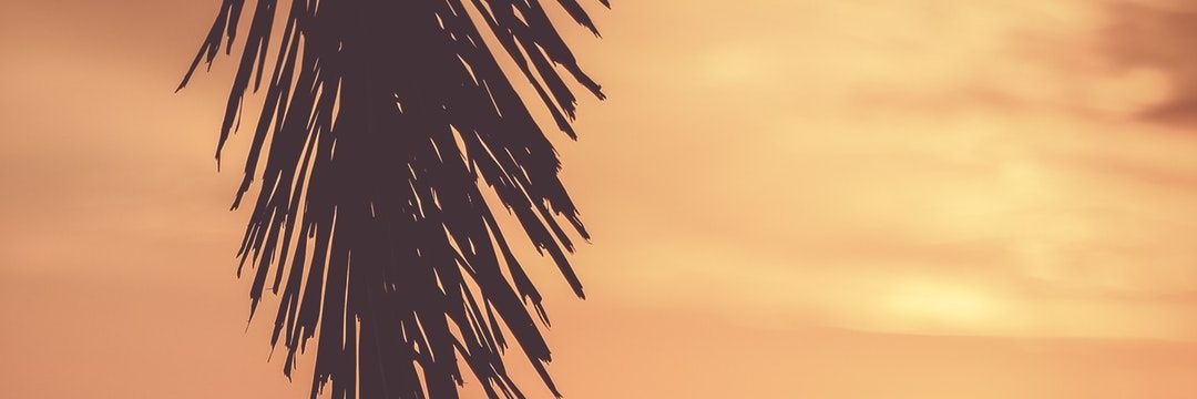 _steeeveee's profile banner image