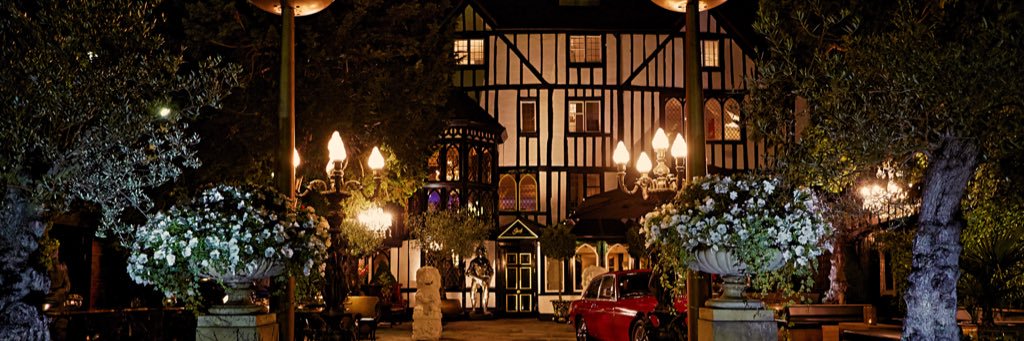 SheeshChigwell's profile banner image
