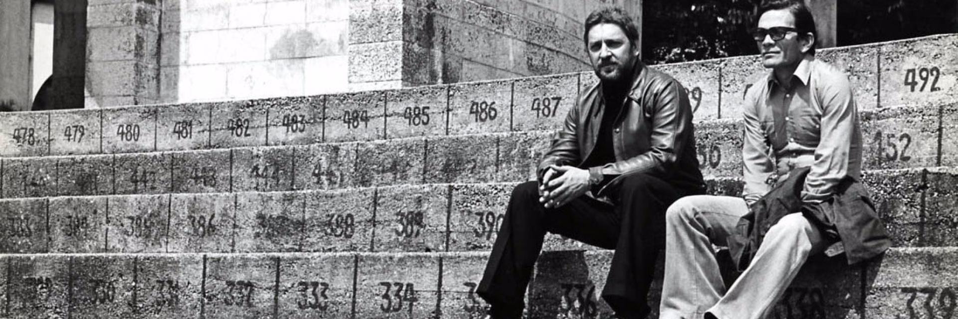 Città Pasolini banner