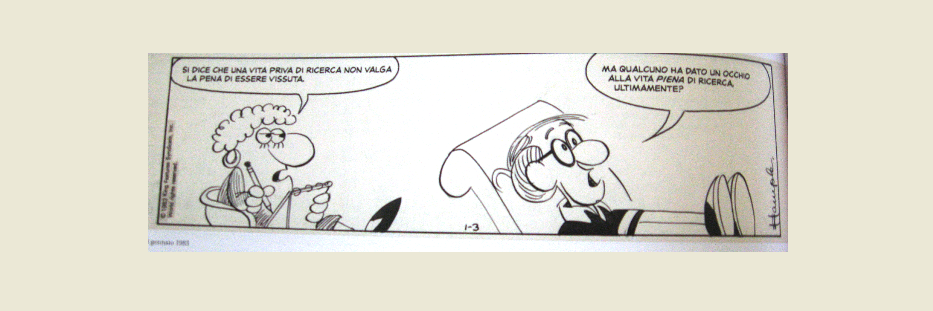 Luciana Forti banner