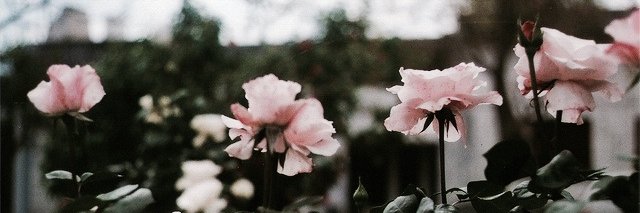 YukkiYu01's profile banner image