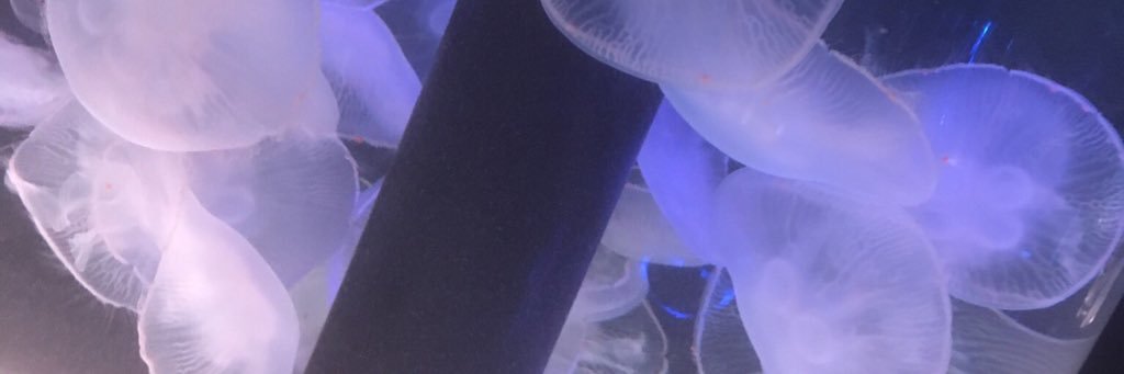 TehhAway's profile banner image
