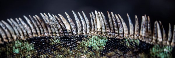 mattsolomonson Profile Banner