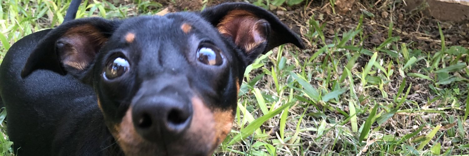 MerceRoger's profile banner image