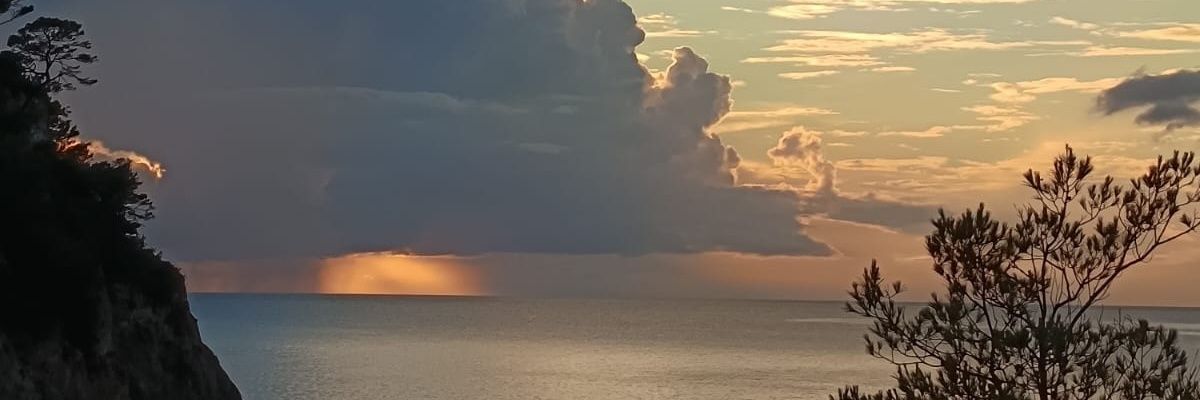 OctavioCortes73's profile banner image