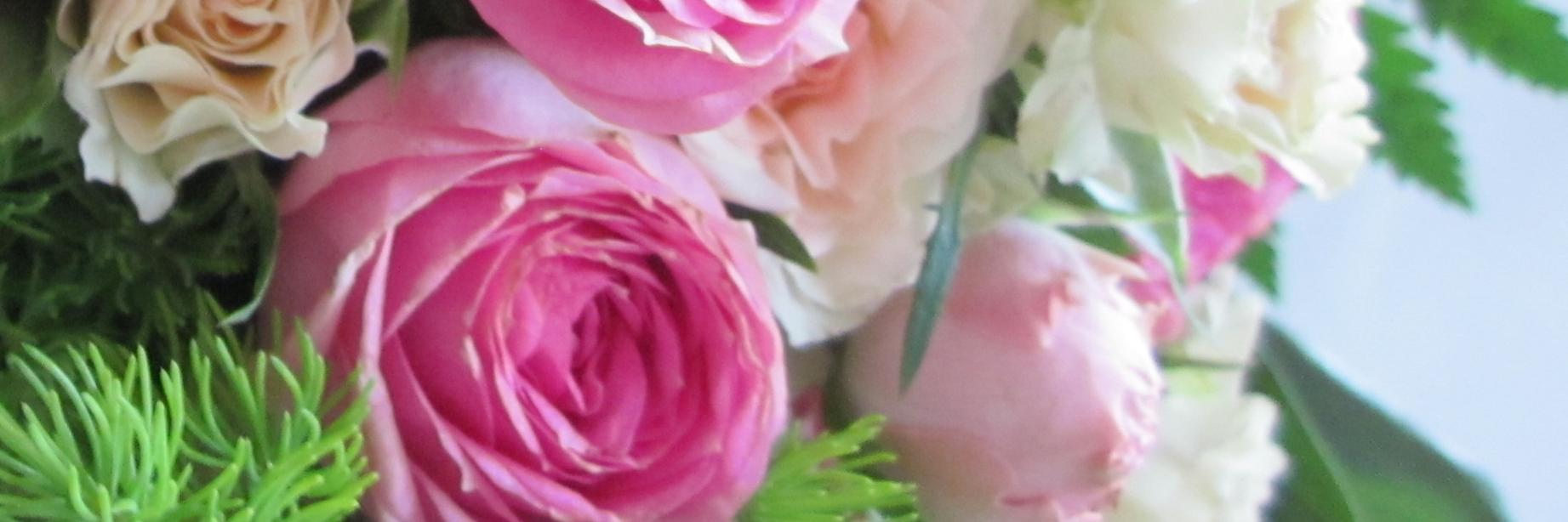 mcubellsl's profile banner image