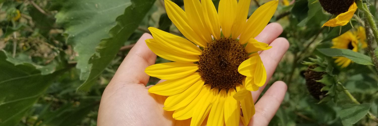 MissRaye7's profile banner image