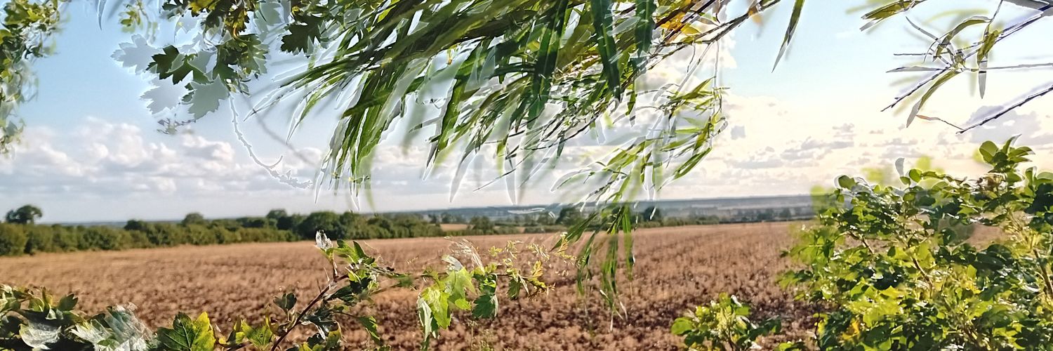 visiblylacking's profile banner image