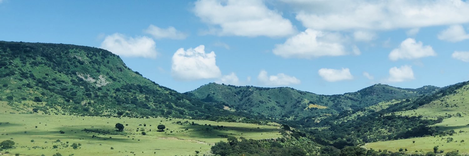 Adrianitaruelas's profile banner image