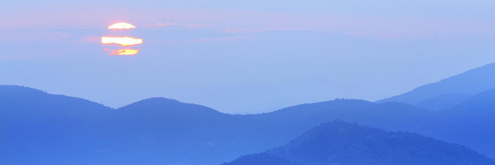 DamonOwlia's profile banner image
